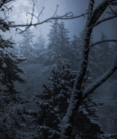 Dark and snowy woods, spirits in the woods