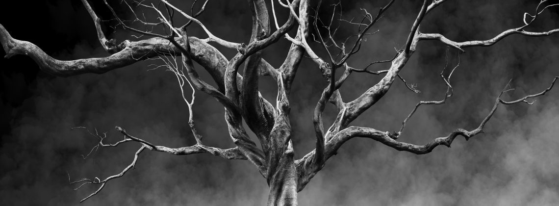 Scary tree that might look like the Avilla Missouri death tree