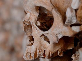 Deteriorating skull in a tomb