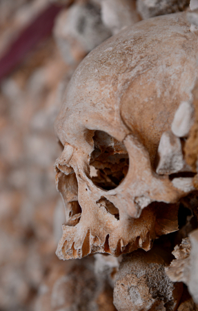 Deteriorating skull in a tomb