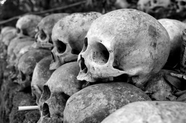 Skulls piled on the ground