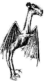 Jersey Devil Sketch