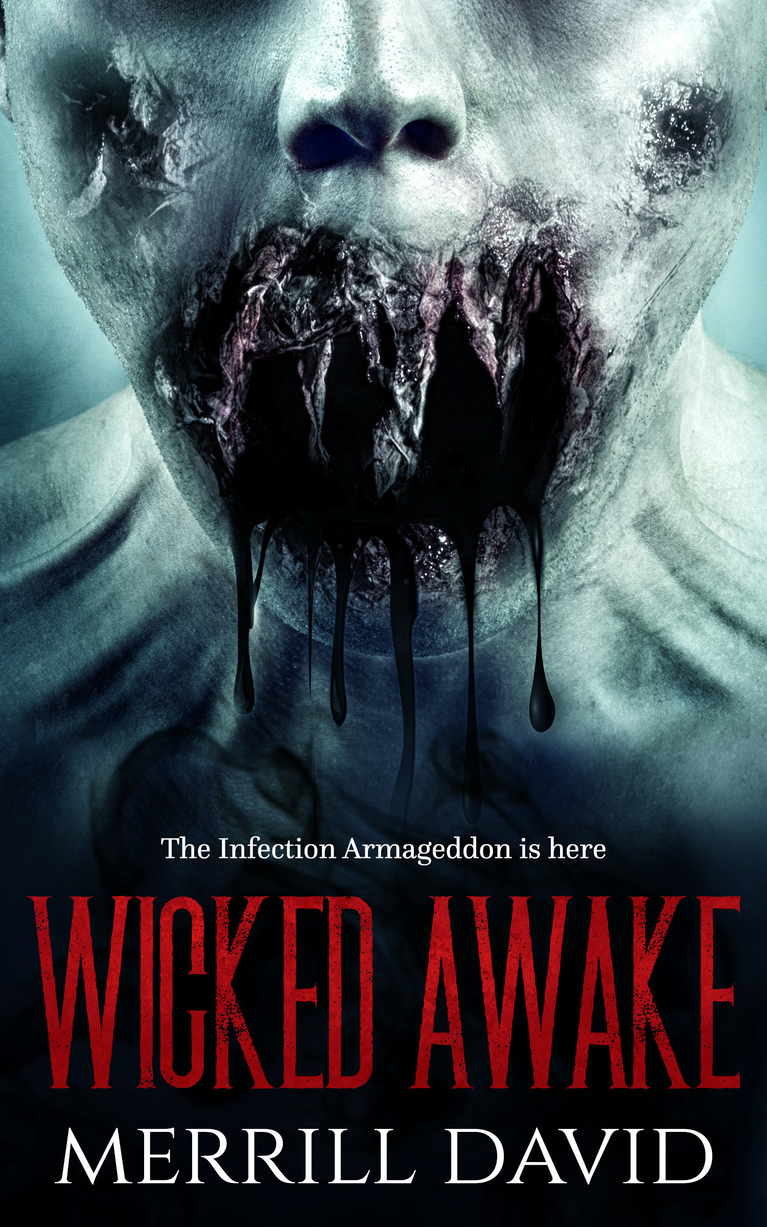Wicked Awake book Cover by Merril David